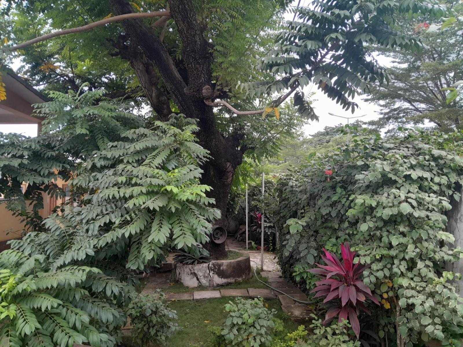 Ferienwohnung Casa De Ferias Sao Tome Exterior foto